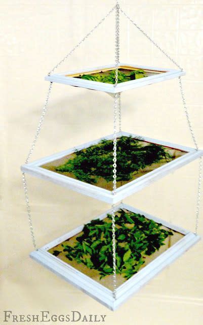 Diy Tiered Herb Drying Rack Using Repurposed Picture Frames Plus Dried