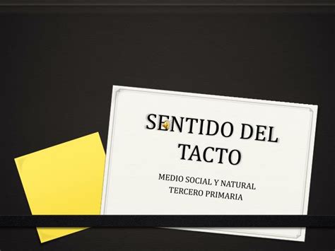 Ppt Sentido Del Tacto Powerpoint Presentation Free Download Id5796175