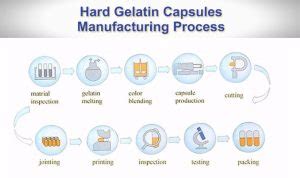 Hard Gelatin Capsule Manufacturing Process Step By Step