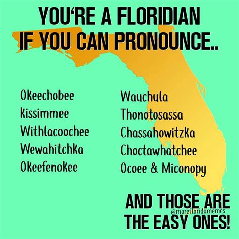 15 Downright Funny Memes Youll Only Get If Youre From Florida Florida Funny Florida Quotes