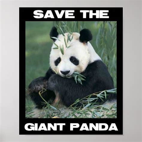 Save The Giant Panda Poster Zazzle