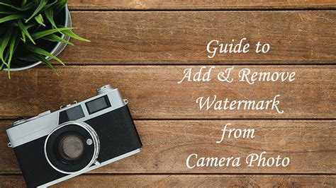 Best Guide To Add And Remove Watermark From Camera Photo
