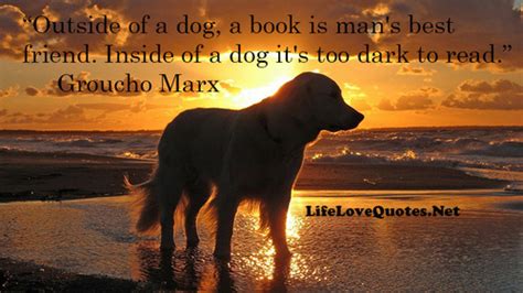 Mans Best Friend Dog Quotes Quotesgram