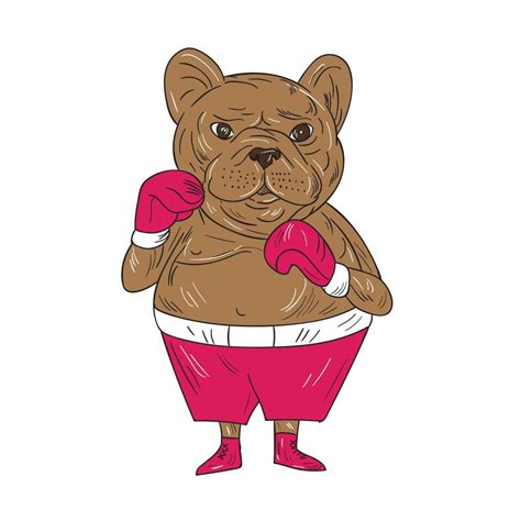French Bulldog Boxer Boxing Stance Cartoon 11496102 Vector Art At Vecteezy