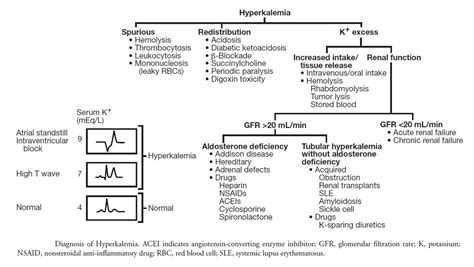 Hyperkalemia Differential Diagnosis Algorithm Hyperkalemia Grepmed