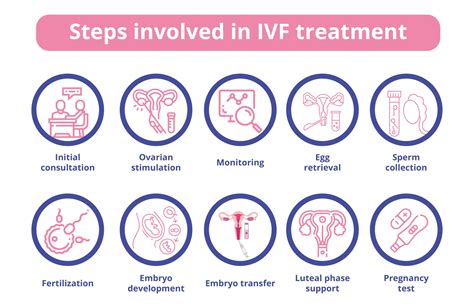 Ivf Treatment Everything You Need To Know Birla Fertility And Ivf