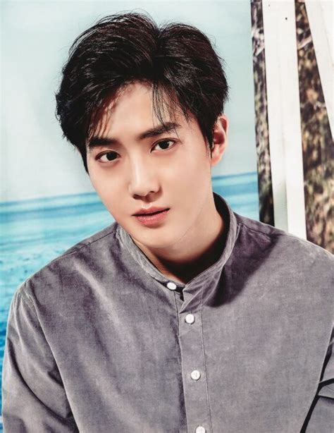 Exo по соседству exo next door. EXO Suho 2017 Season Greetings | EXO (엑소) Amino