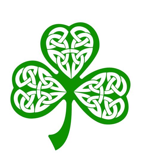 The Shamrock Celtic Symbols Naciones Celtas Celta San Patricio