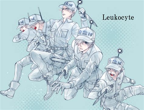 Neutrophil Hataraku Saibou Zerochan Anime Image Board