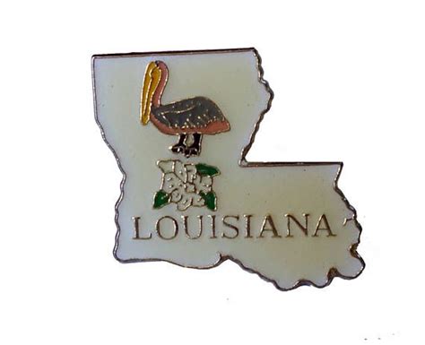 Louisiana Vintage Enamel Pin Cloisonne Lapel Wildlife Pelican Etsy