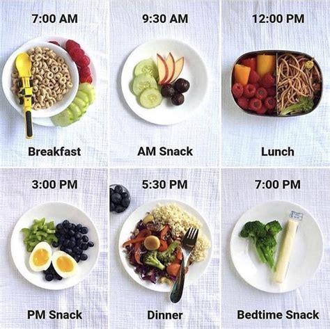 Healthy Meal Plan With All The Necessary Nutrients And Proteins To Have