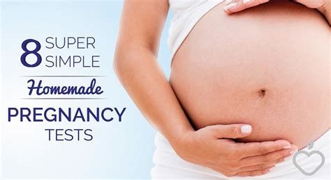 During pregnancy, relaxin is produced within the ovaries, and by the placenta which sustains life in unborn pups and kittens. Roundup: 8 Super Simple Homemade Pregnancy Tests