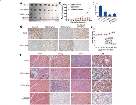 Fl3 Inhibits Growth Of Ucb Tumor Xenografts In Vivo A The Xenograft