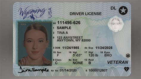 Grace period for expired drivers licenses ordered 