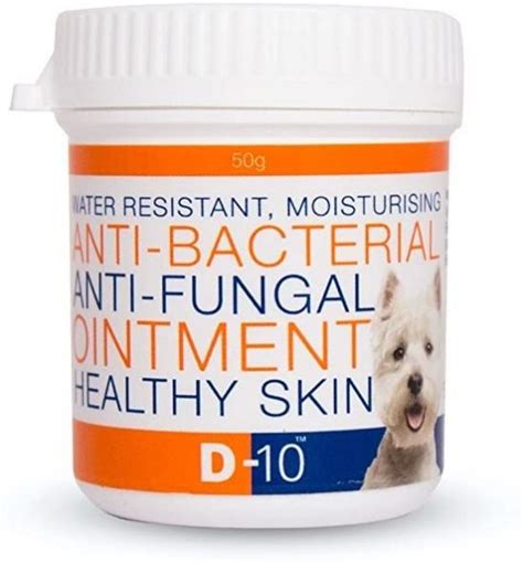 Treating Skin Fungus In Dogs What Medications To Use And How To Keep