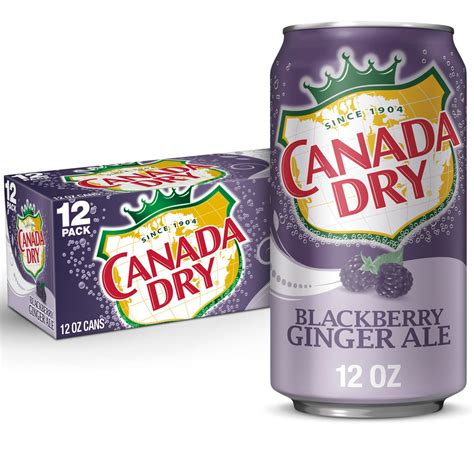 Canada Dry Blackberry Ginger Ale Soda 12 Fl Oz Cans 12 Pack