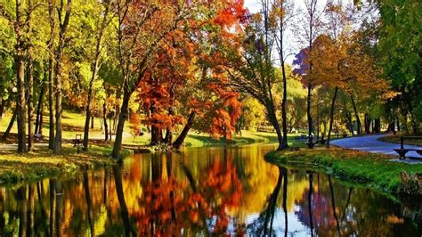 Autumn Trees Reflected In River Image Abyss
