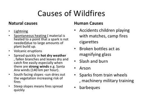 Wildfires Revision Guide