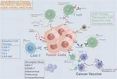 Immunotherapy Is The Quizlet