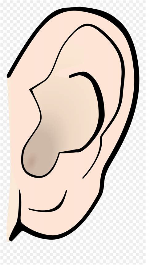 Ear Clip Art 17 Free Cliparts Download Images On Clipground 2022