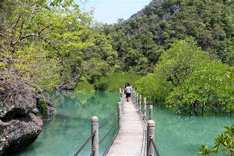 Find hotels near sungai kilim nature park, malaysia online. Jom Langkawi: Mangrove Kilim Karst Geoforest Park