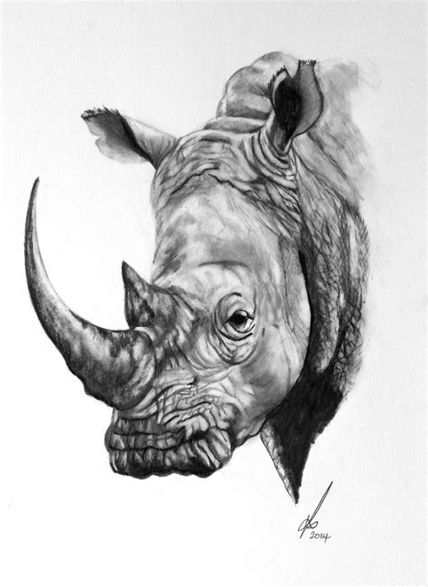 50 beautiful color pencil drawings from top artists around. Black Rhino | Rhino art, Rhino tattoo