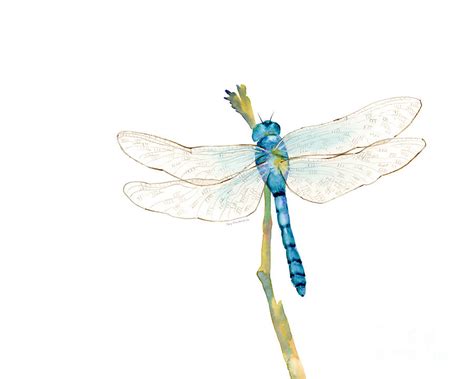 Blue Dragonfly Painting By Amy Kirkpatrick
