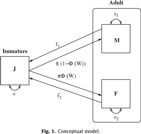 Figure 1 From Effects Of Density Dependent Sex Allocation On The Dynamics Of A Simultaneous
