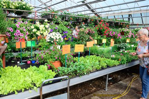 We would like to show you a description here but the site won't allow us. Gartenmarkt Schönfeld: Frühlingsfest ein voller Erfolg ...