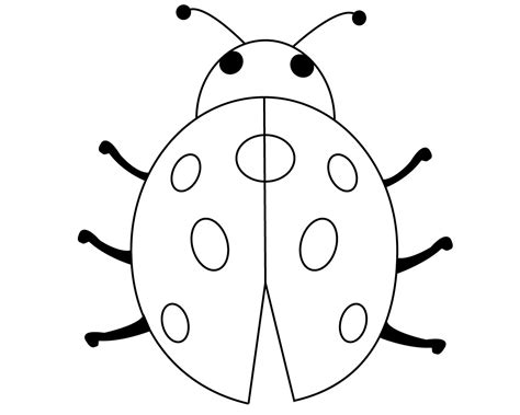 Ladybug Coloring Pictures