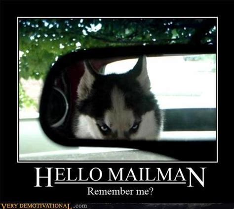 Hello Mailman Remember Me Funny Pictures Quotes Pics Photos