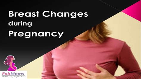 Breast Areola Changes During Pregnancy Wzad Legraybeiruthotel