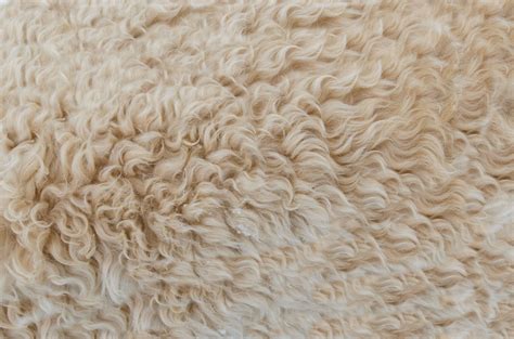 Background Beige Brown Close Up Color Craft Design Dry Fabric Fur Material Natural