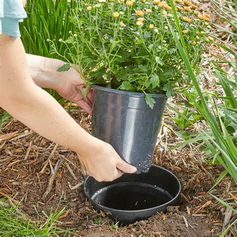 20 brilliant diy gardening hacks you wish you knew early on