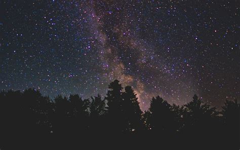 Download Wallpaper 3840x2400 Starry Sky Milky Way Trees Stars Night