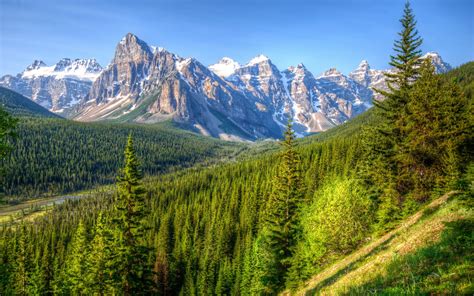 Canada Mountains Trees Forest Blue Sky Banff Park Wallpaper