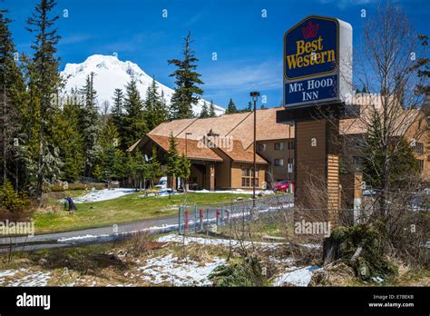 The Best Western Hotel Near Mt Hood At Government Camp Oregon Usa