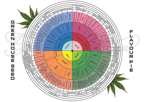 Decarboxylation Why You Should Decarb Your Weed Herb