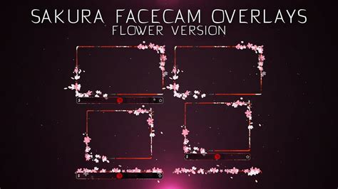 Sakura Facecam Overlays Twitchfacebookobs Anime