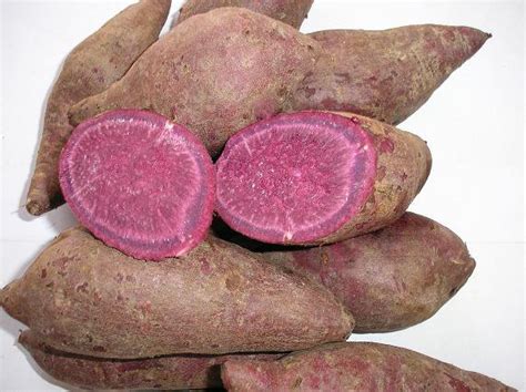 Purple Skin Purple Sweet Potato 3 Lbs Grfresh