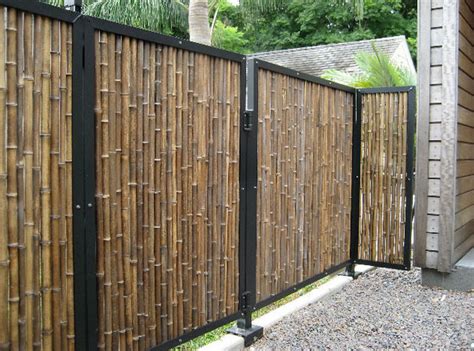 Bamboo is an exotic plant that can be seen in many gardens. Outdoor Bamboo Privacy Screen | Interesting Ideas for Home
