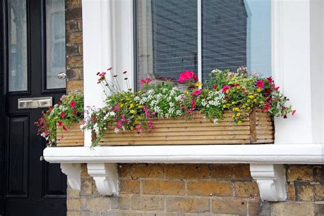 Window Sill Flower Box Stock Image Image Of Flowers 31983083