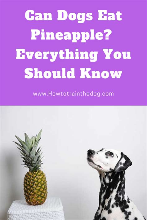 It is officially summertime, and one of my favorite summer treats are pineapples. Can Dogs Eat Pineapple? Your Complete Guide to Safely ...