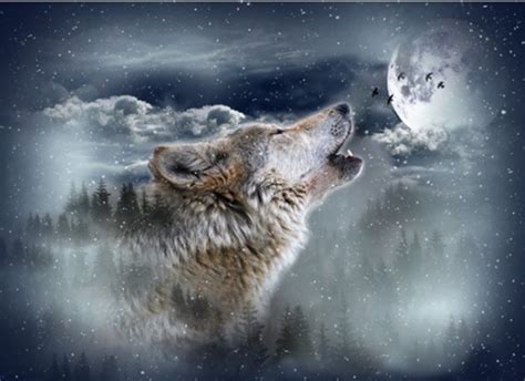 Call Of The Wild Moonstruck Wolf Howling At The Moon By Hoffman Digital