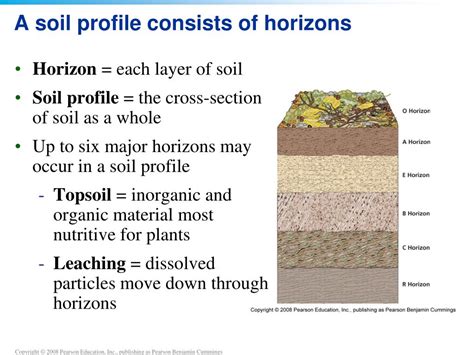 Ppt Chapter 9 Soil Powerpoint Presentation Free Download Id2212603