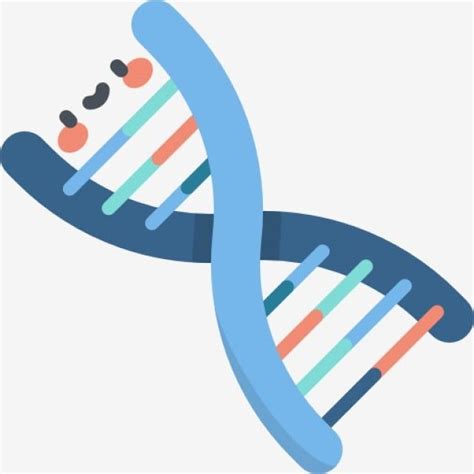 Dna Clipart Animations