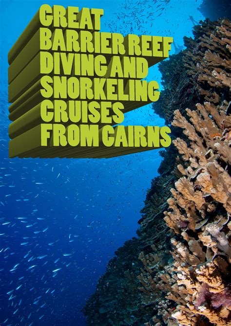 Great Barrier Reef Diving And Snorkeling Cruises From Cairns Great
