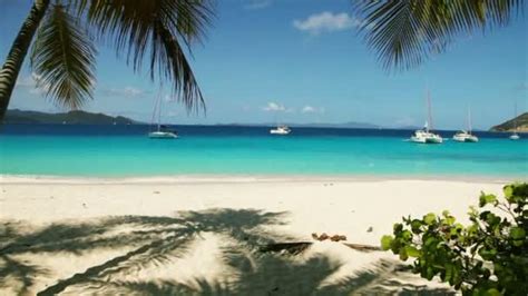 Tropical Beach Scene Blue Ocean Palm Trees — Stock Video