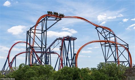 Floridas Tallest Roller Coaster At Busch Gardens Is Set To Welcome Its
