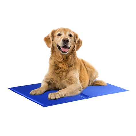 Other adapters & gender changers. isYoung Waterproof Pet Cooling Mat Pad For Cats and Dogs ...